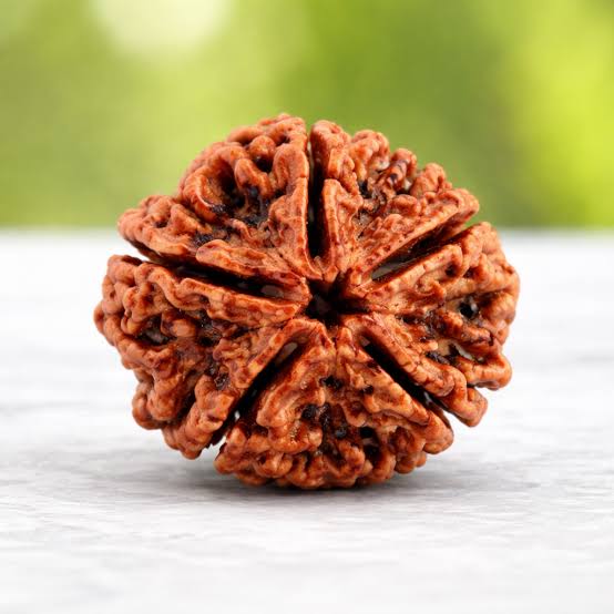 5 Mukhi Rudraksha Pendant