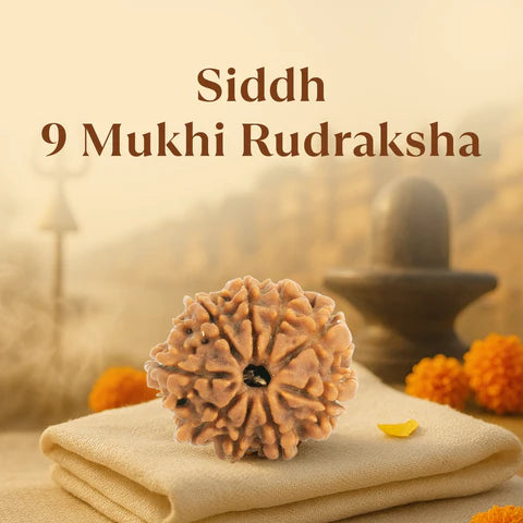Close-up of Siddh 9 Mukhi Rudraksha bead on beige cloth with blurred spiritual background